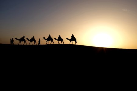 silhouette of people riding on camels photo