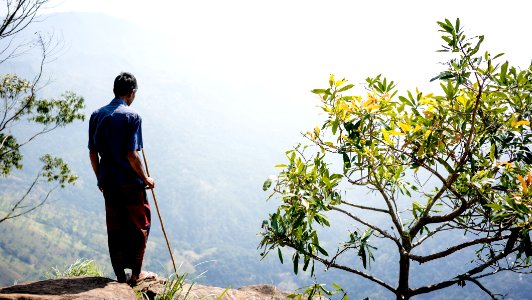 man standing on mountain cliff beside green leaf plant during daytime photo