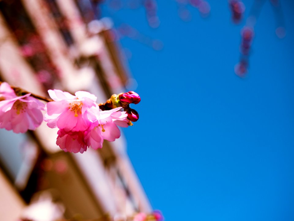 Gothenburg, Sweden, Close up