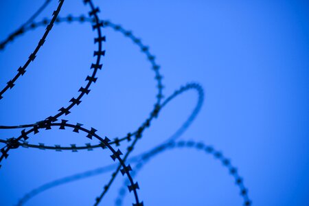 Barbed wire razor sharp photo