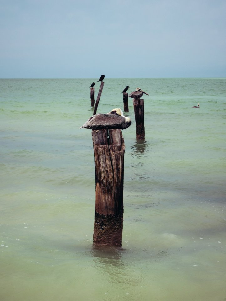 Isla holbox at carebien sea, Mexico, Sky