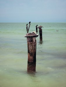 Isla holbox at carebien sea, Mexico, Sky