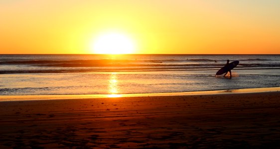 person walking on body of water while holding surfboard