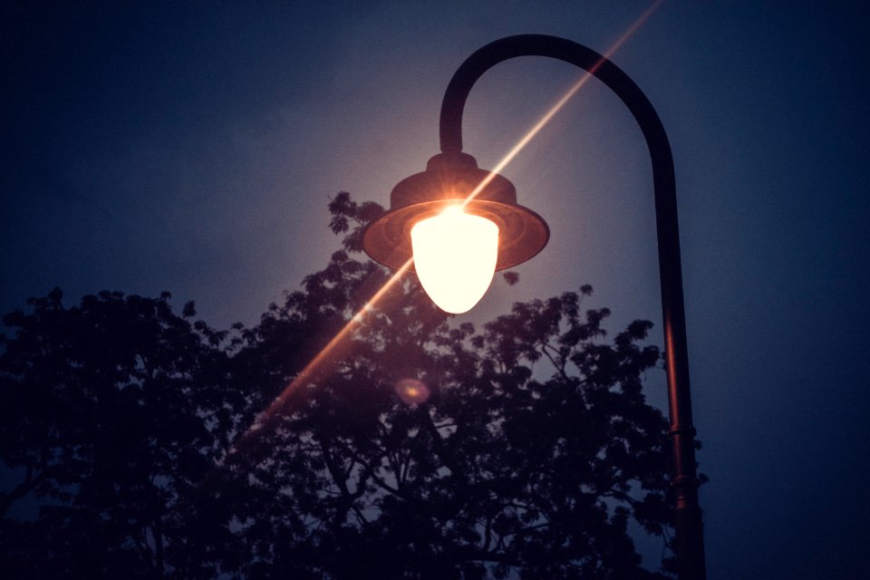 Dark, Park, Night