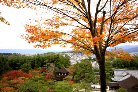 Kyoto, Japan