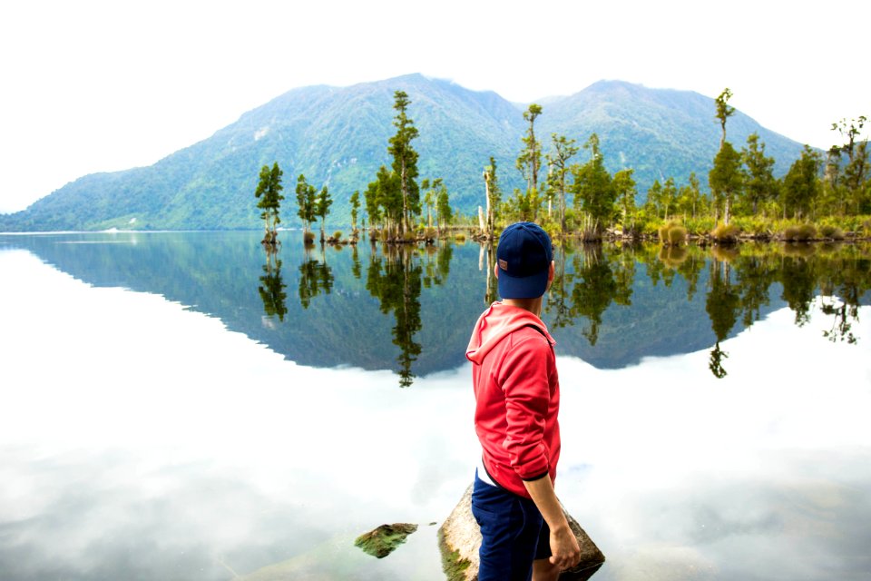 New Zealand, Mirror lake, Forest