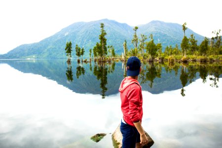 New Zealand, Mirror lake, Forest