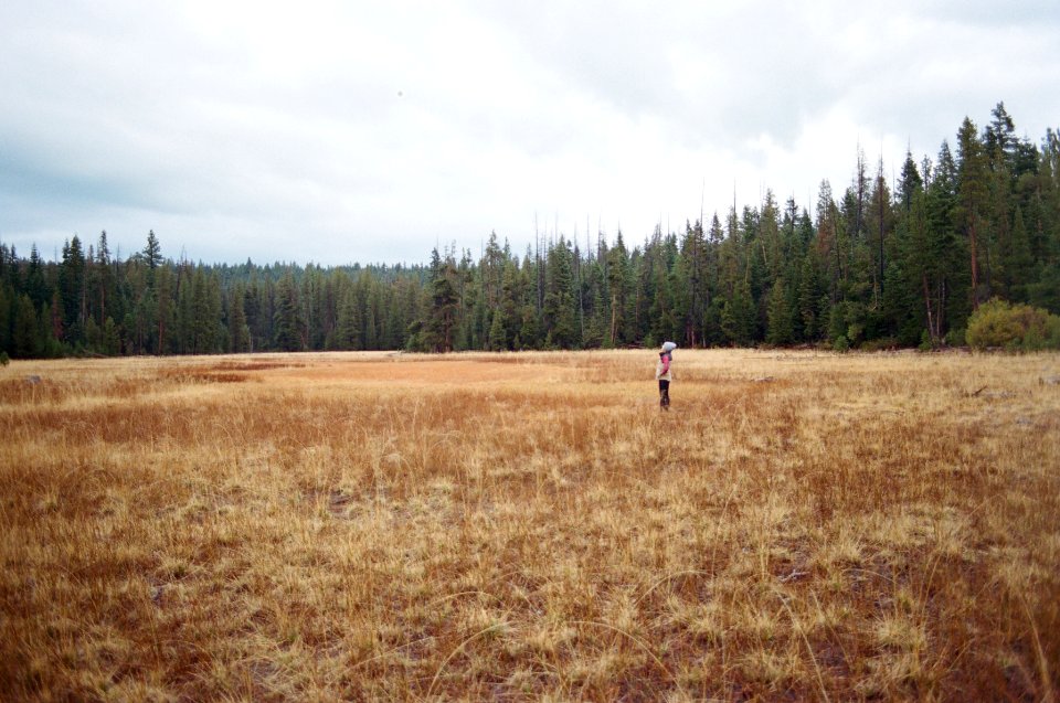 Tahoe city, United states, Film