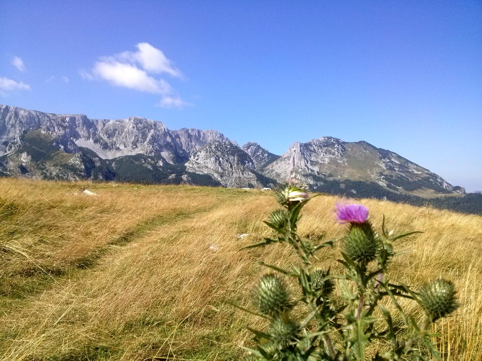 Mountains