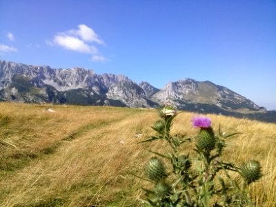 Mountains