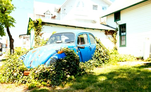 blue Volkswagen Beetle chassis covered in green vines