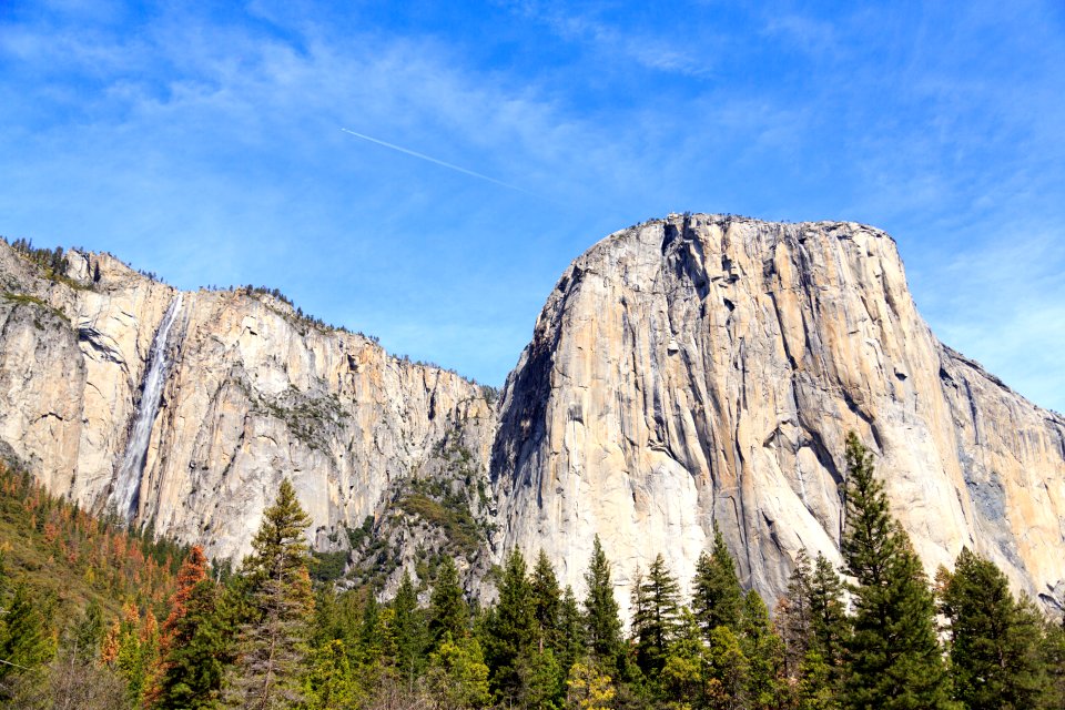 Trees, Mountain, Yosemite