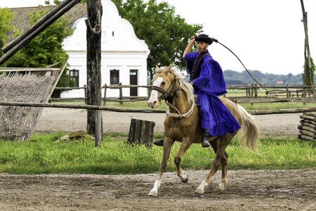 Equestrian traditional horseman's costume stock whip