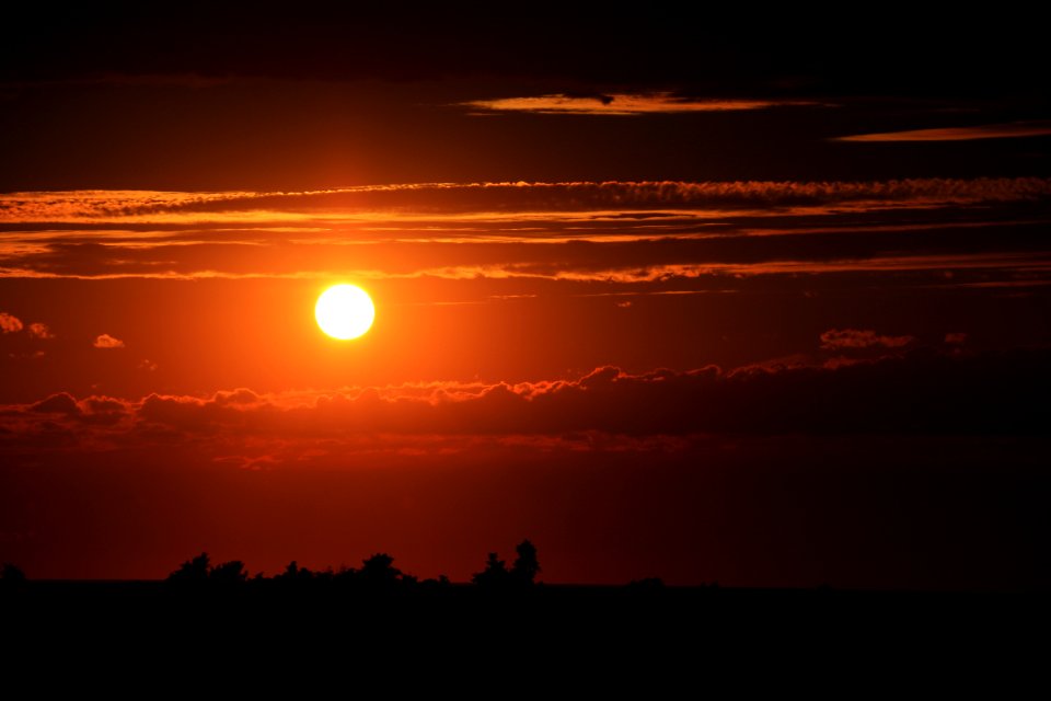 sunset and silhouette of trees