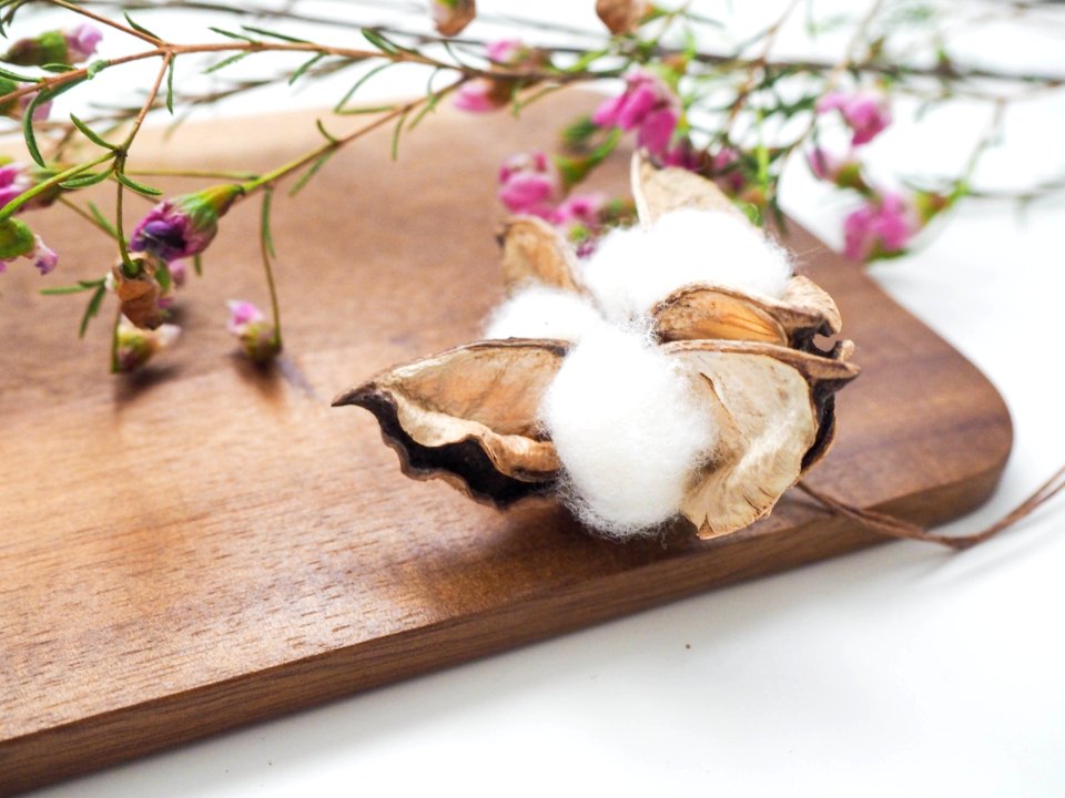 Wild, Inavian, Cotton flower