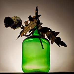 dried brown leaf on green glass bottle photo