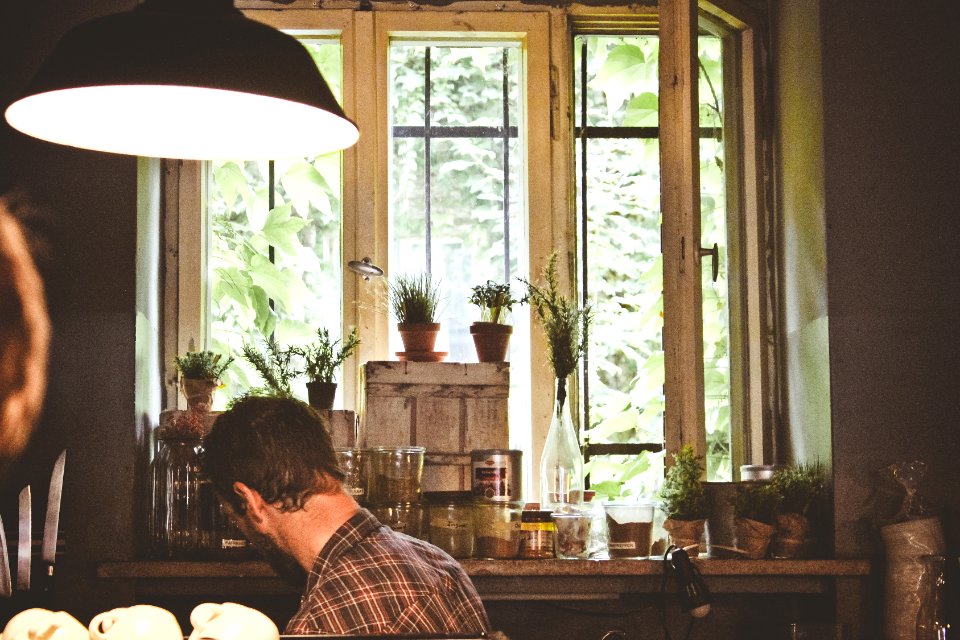 Plants, Window, Kitchen