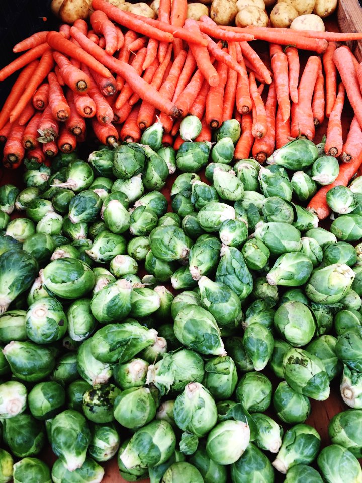 Palo alto, United states, Orange