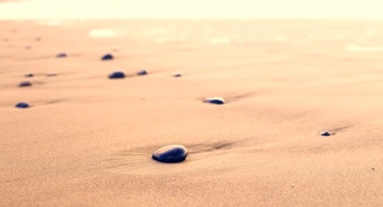closeup photography of black stones on sand at daytime