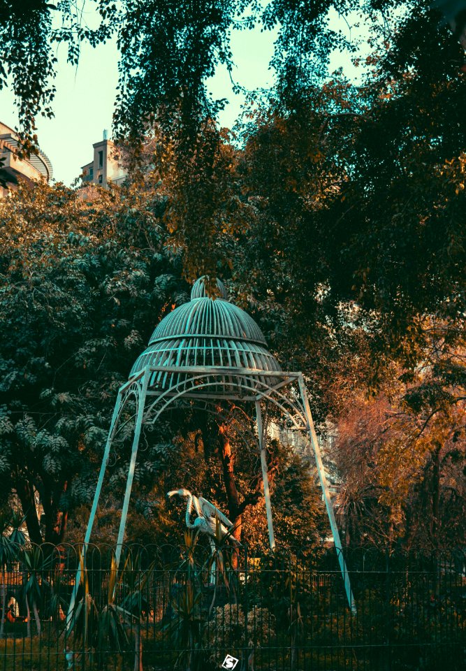 Green, Thezoo, Egypt