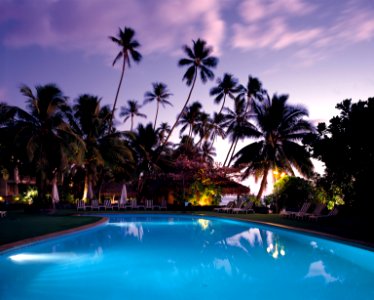 photo of swimming pool surrounded by trees photo