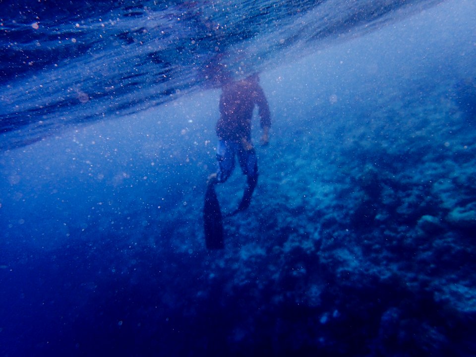 under water photography of person diving