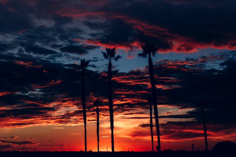 Tropical, Sunset, Cloudscape