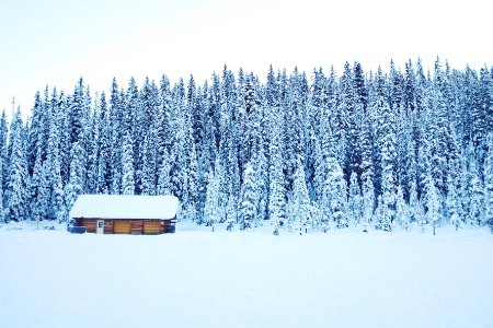 snow covered brown wooden house near trees photo