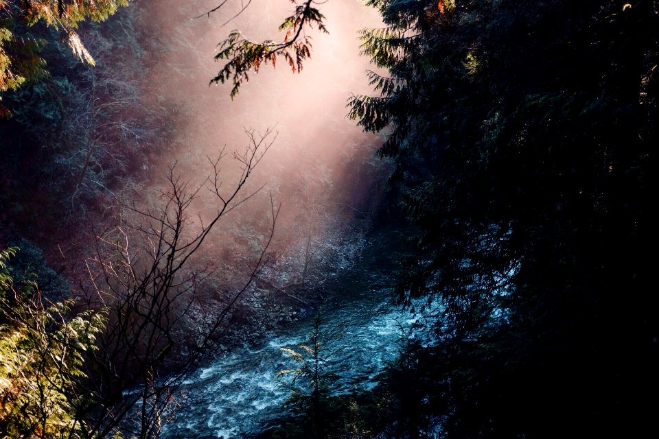 Capilano suspension bridge, West vancouver, Canada