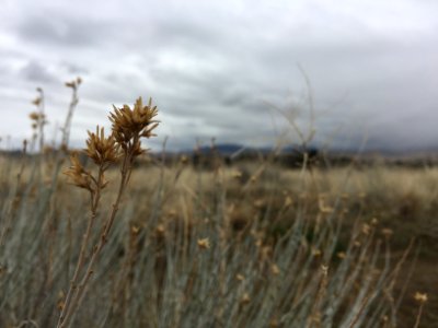 Boise, Camel s back park, United states