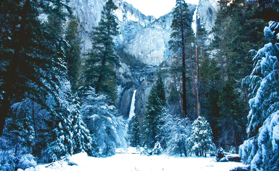 Yosemite valley, United states, Notreally