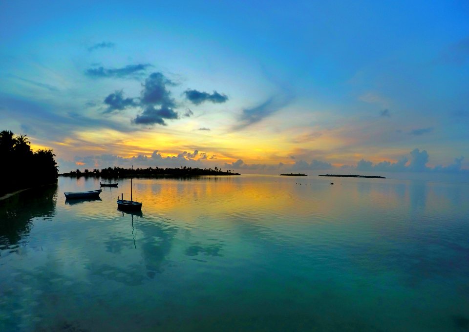 landscape photography of two boats in ocean water near green leafed trees during daytime