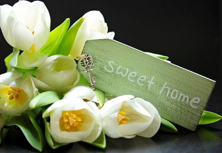 Sweet home key keychain