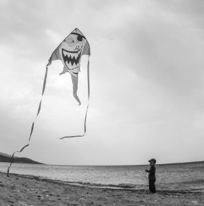 Kid, Sea, Kite photo