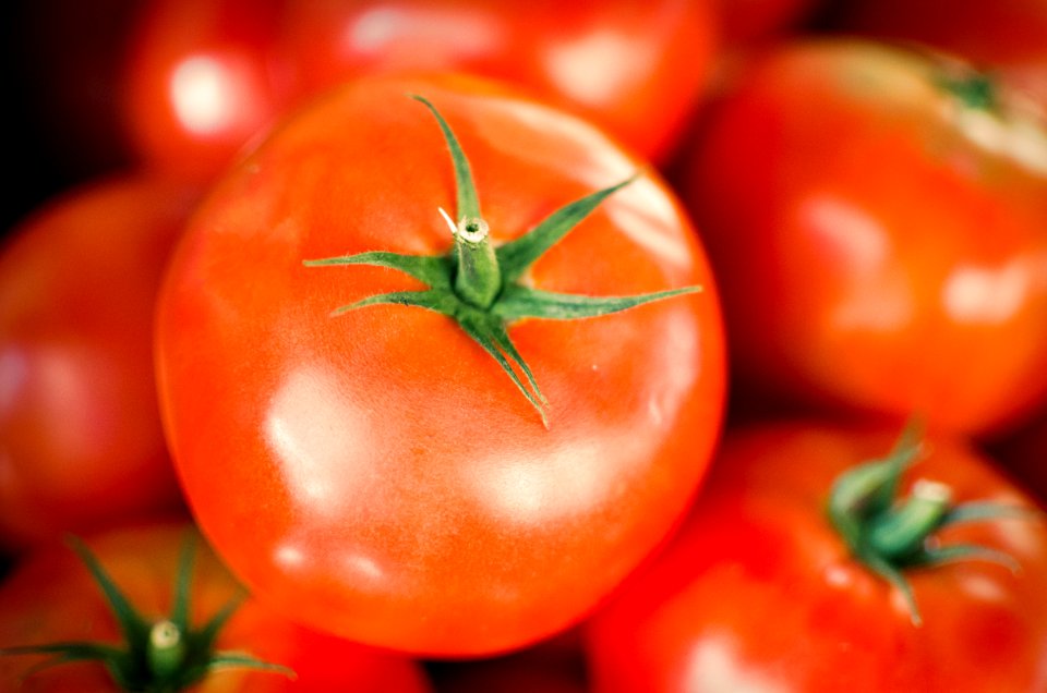 close-up photography of orange tomato