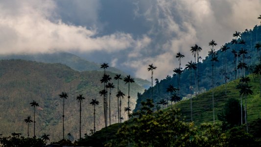 Colombia, Salento, Scape
