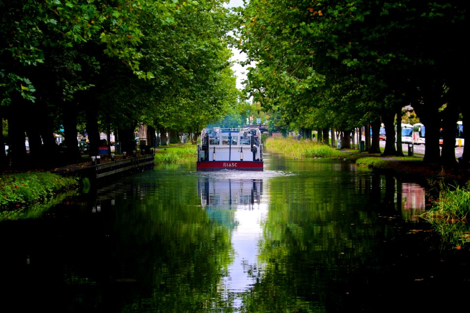 Irel, Trees, River
