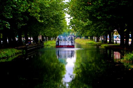 Irel, Trees, River photo