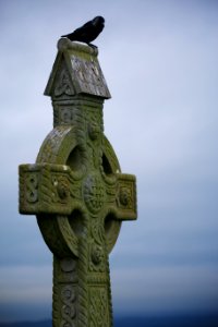 Irel, Bird, Cross
