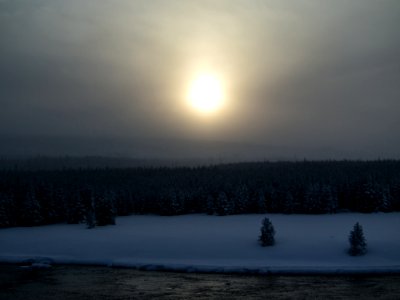 Sunset, Wyoming, Forest