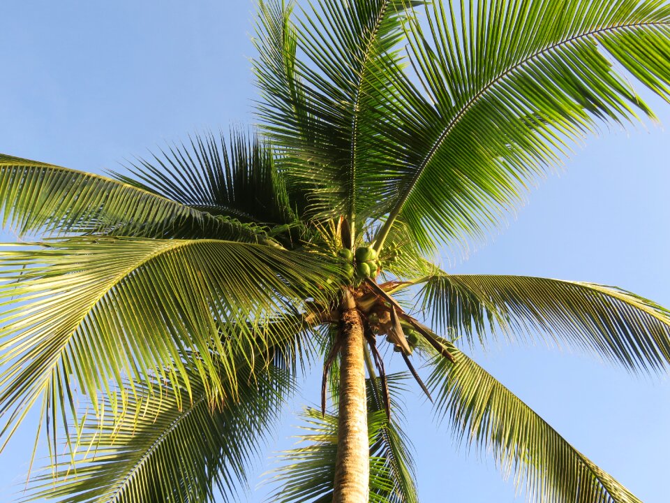Vacations summer caribbean