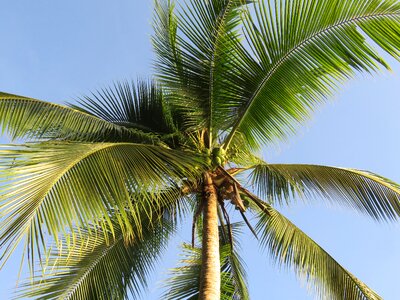 Vacations summer caribbean