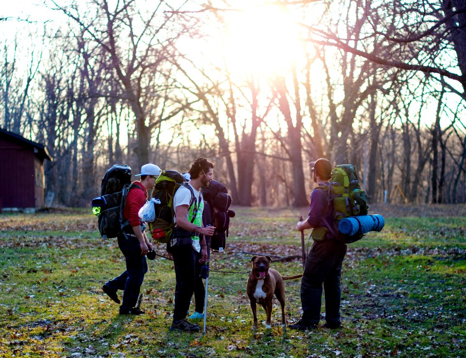 men standing in the middle of forest