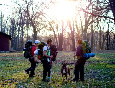men standing in the middle of forest