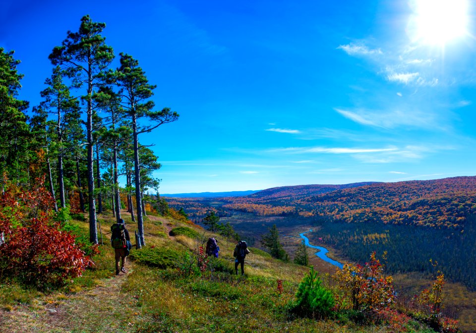 Forest, Lake, Lake superior