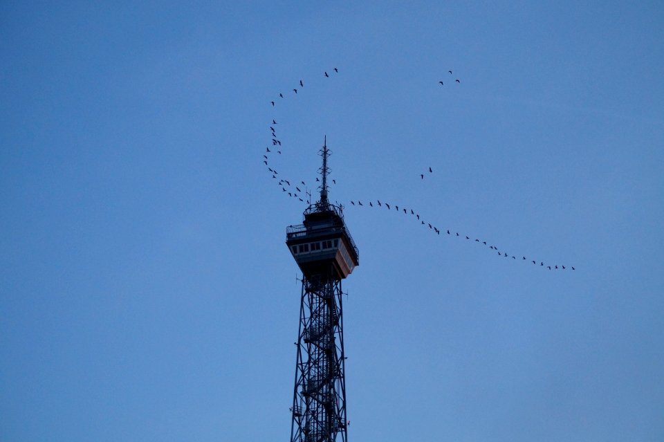Funkturm berlin, Berlin, Germany