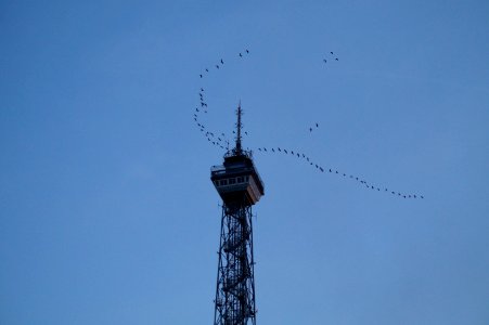 Funkturm berlin, Berlin, Germany photo