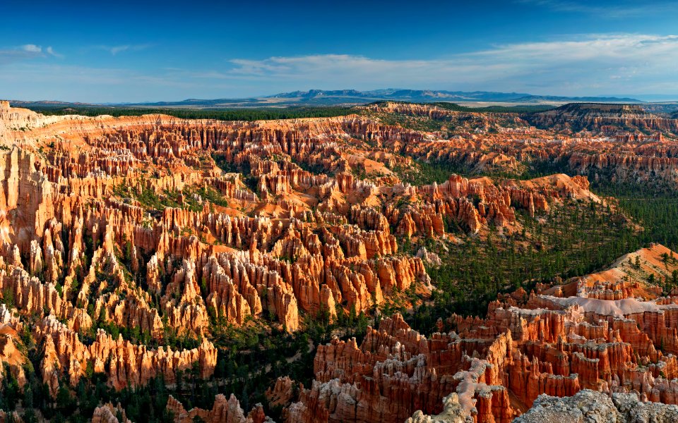 aerial photography of mountain and tree