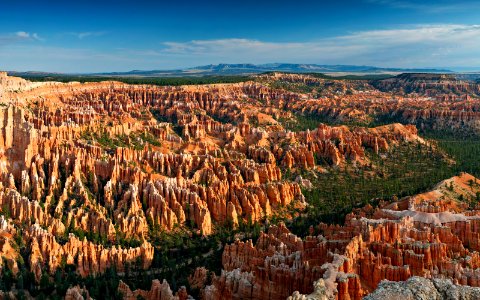 aerial photography of mountain and tree photo