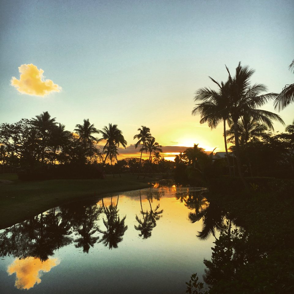 Fiji, Holiday, Relaxed